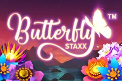 Butterfly Staxx